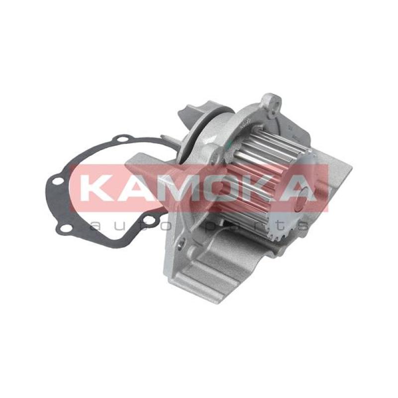 Pompe à eau KAMOKA T0085 - Visuel 2