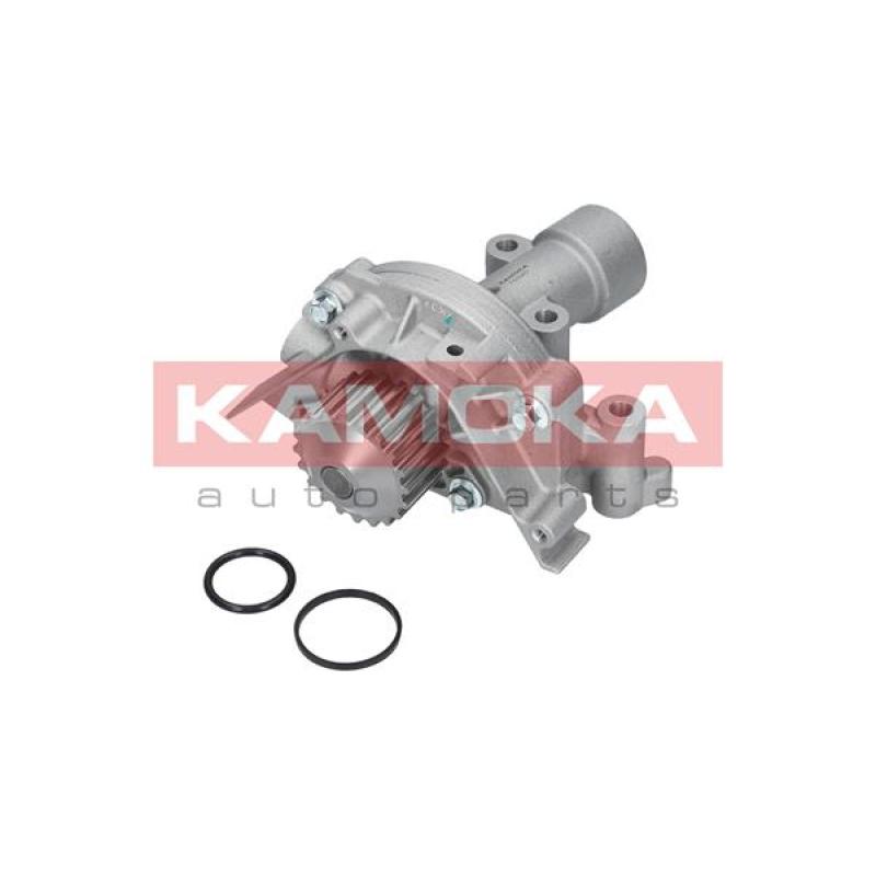 Pompe à eau KAMOKA T0090 - Visuel 1