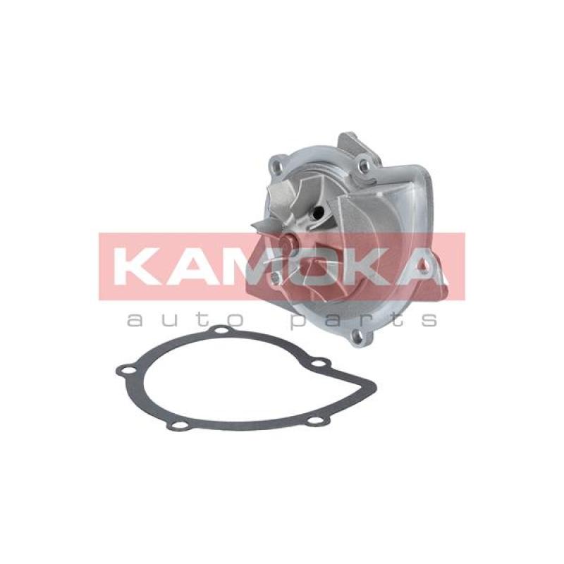 Pompe à eau KAMOKA T0091 - Visuel 1