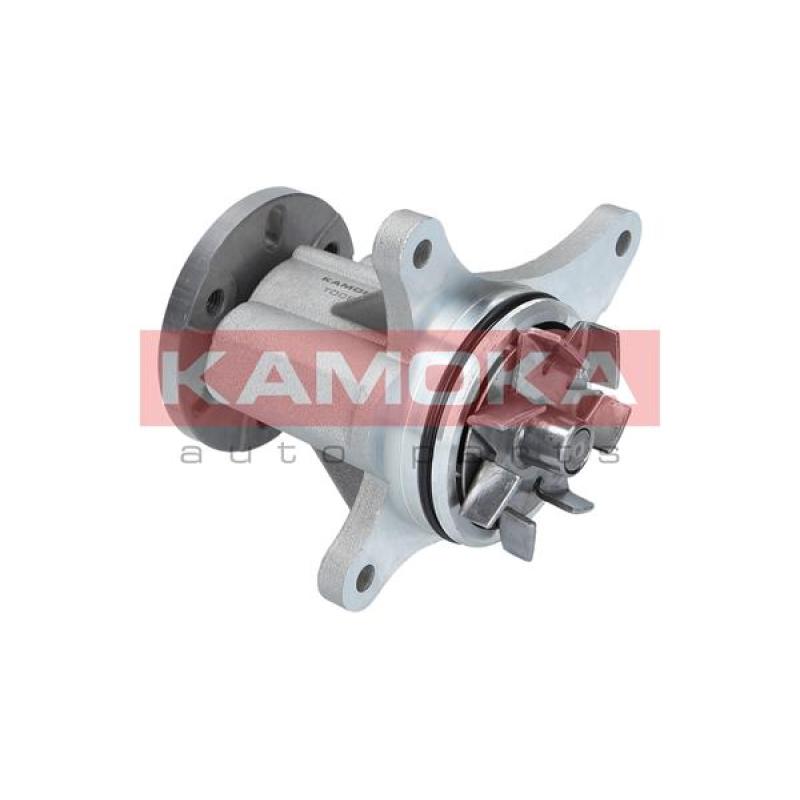 Pompe à eau KAMOKA T0093 - Visuel 1