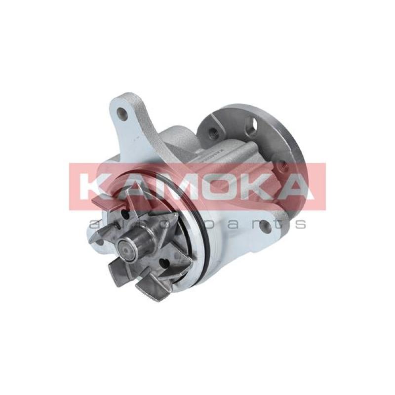 Pompe à eau KAMOKA T0093 - Visuel 2