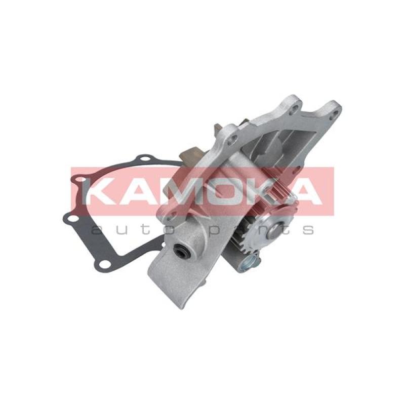 Pompe à eau KAMOKA T0094 - Visuel 2