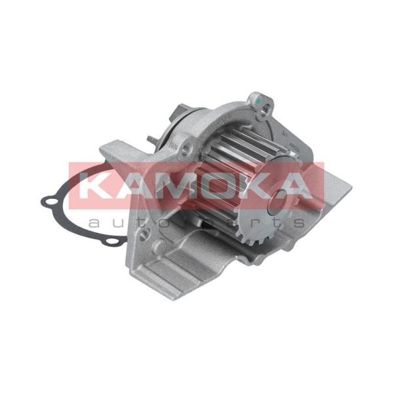 Pompe à eau KAMOKA T0099 - Visuel 2