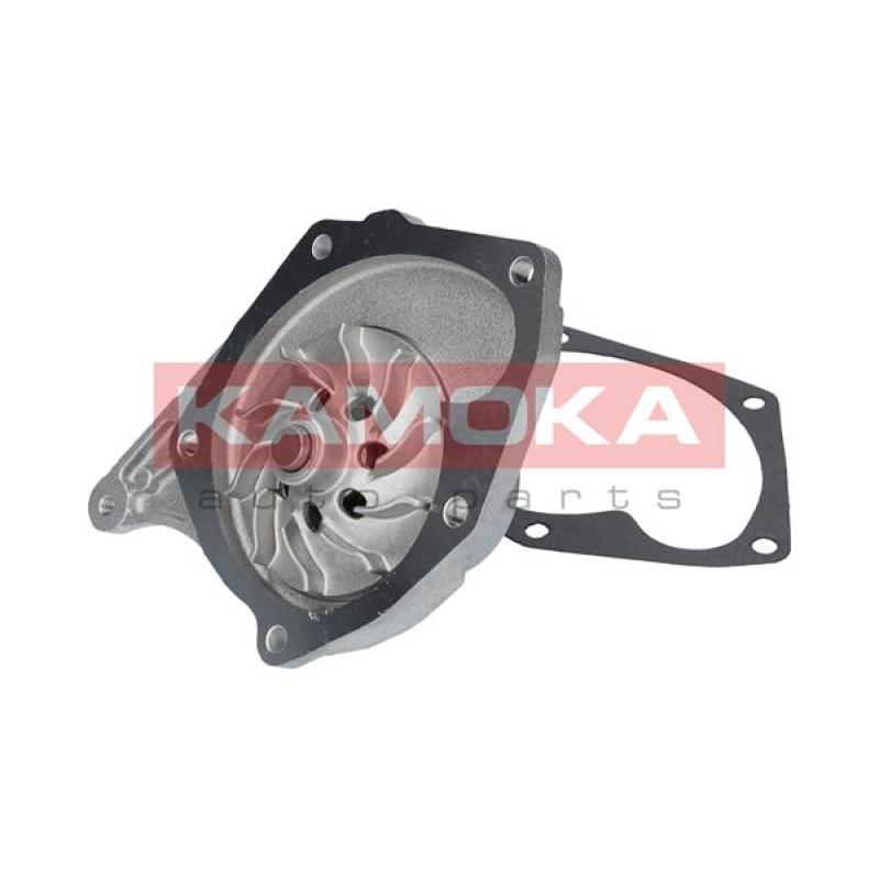 Pompe à eau KAMOKA T0103 - Visuel 1