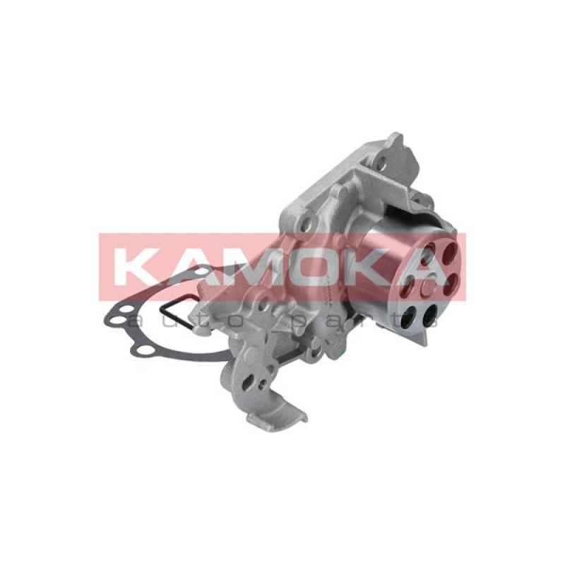 Pompe à eau KAMOKA T0105 - Visuel 2