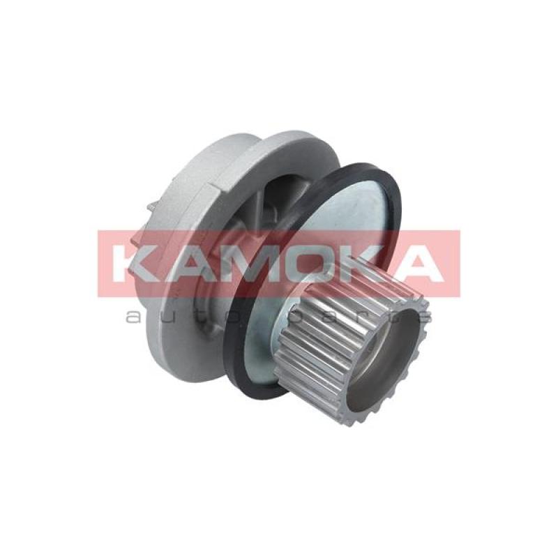 Pompe à eau KAMOKA T0106 - Visuel 1