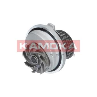 Pompe à eau KAMOKA T0107