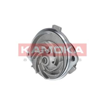 Pompe à eau KAMOKA OEM 7762924