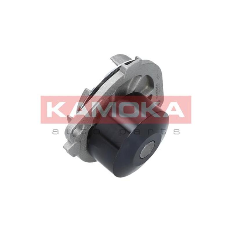 Pompe à eau KAMOKA T0111 - Visuel 1