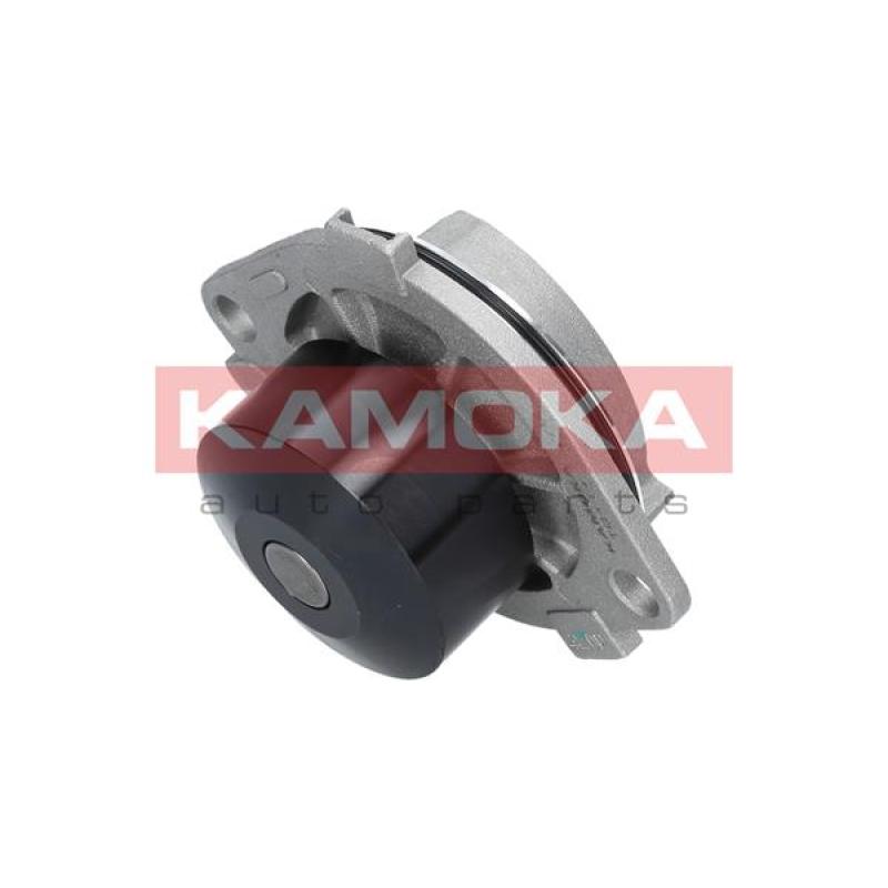 Pompe à eau KAMOKA T0111 - Visuel 2