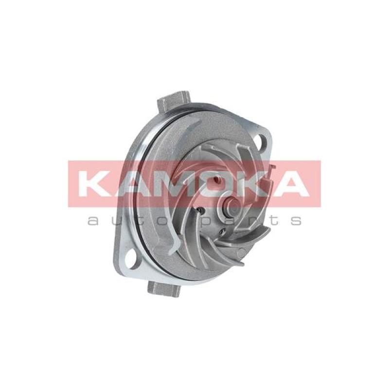 Pompe à eau KAMOKA T0113 - Visuel 2