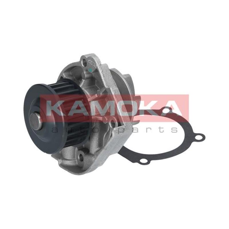 Pompe à eau KAMOKA T0114 - Visuel 2