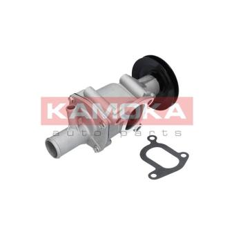 Pompe à eau KAMOKA OEM 7724414