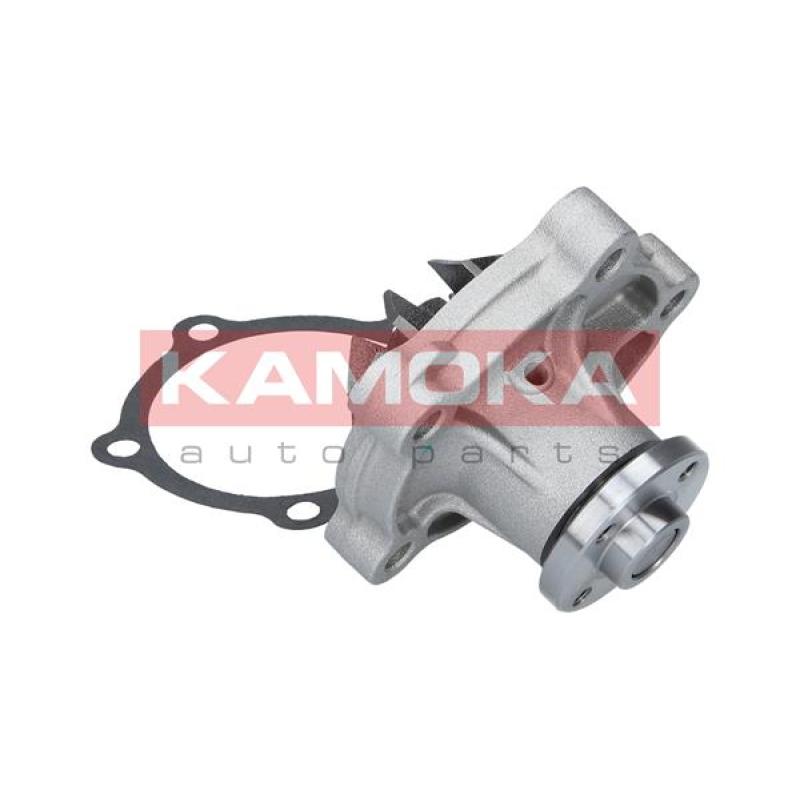 Pompe à eau KAMOKA T0126 - Visuel 1