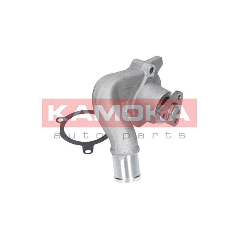 Pompe à eau KAMOKA T0133 - Visuel 1