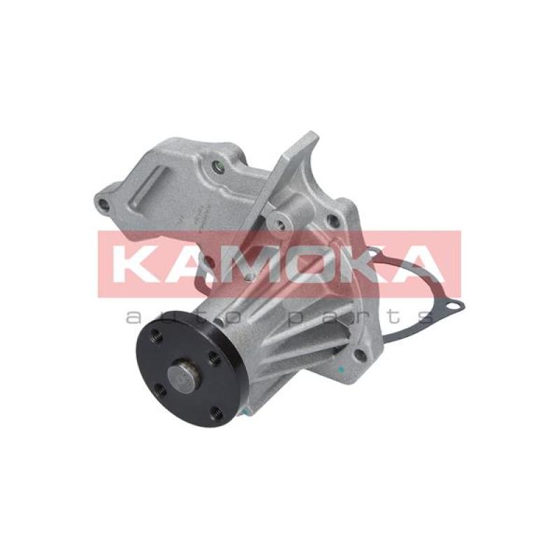 Pompe à eau KAMOKA T0134 - Visuel 2