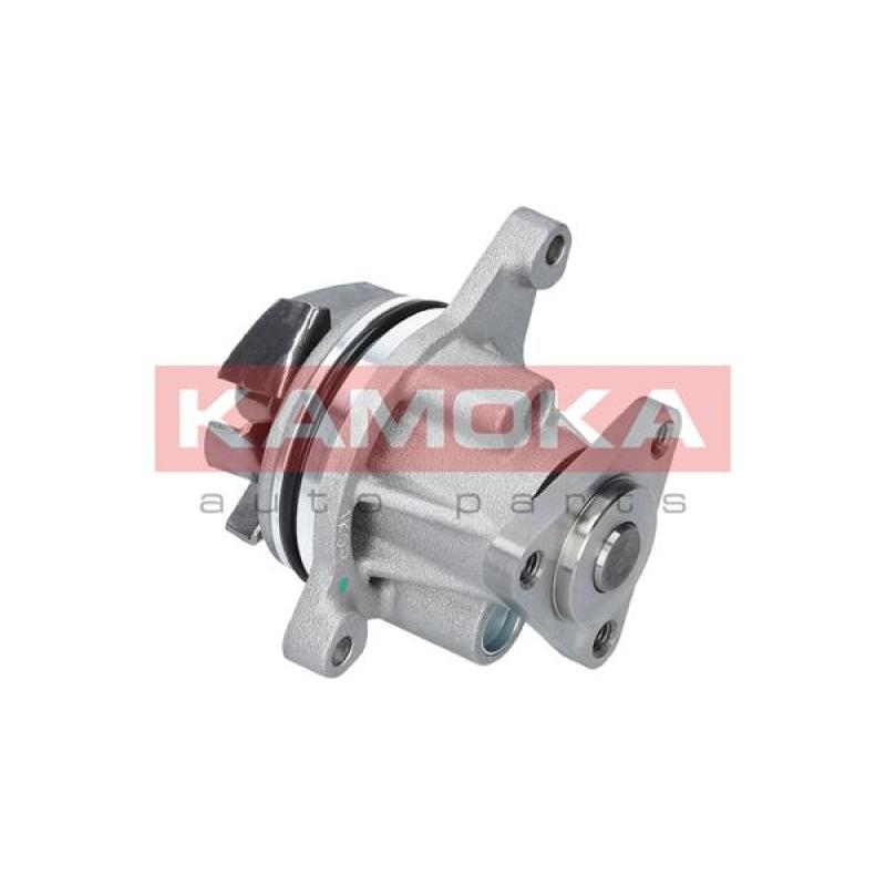 Pompe à eau KAMOKA T0136 - Visuel 2