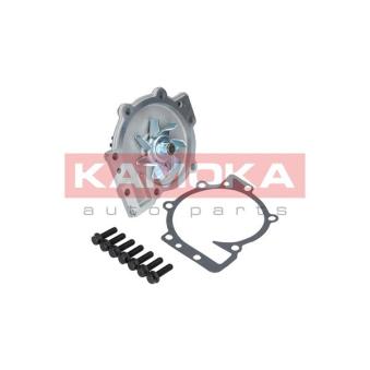 Pompe à eau KAMOKA T0137