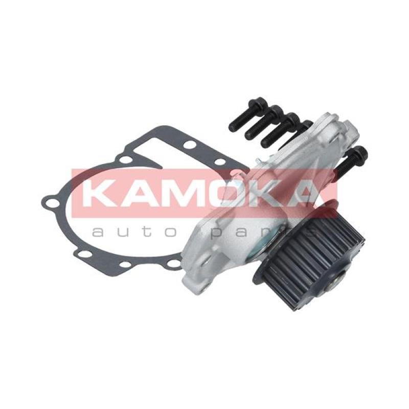 Pompe à eau KAMOKA T0137 - Visuel 2