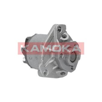 Pompe à eau KAMOKA OEM 0002000701