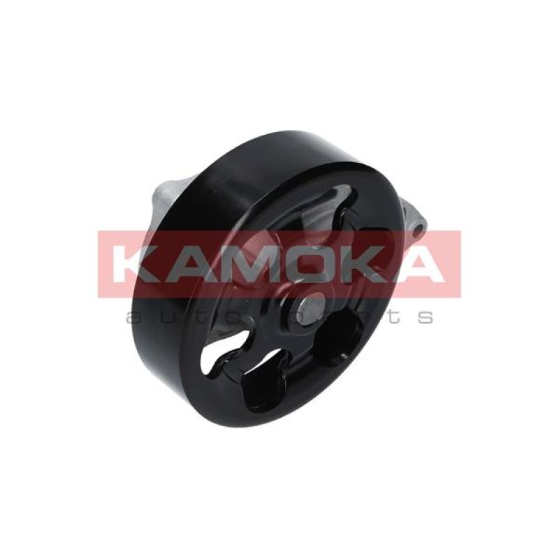 Pompe à eau KAMOKA T0146 - Visuel 2