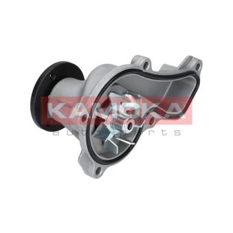 Pompe à eau KAMOKA T0151
