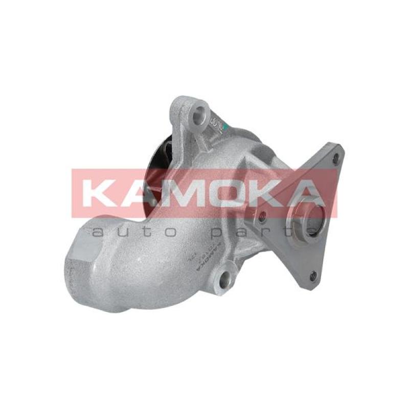 Pompe à eau KAMOKA T0157 - Visuel 1