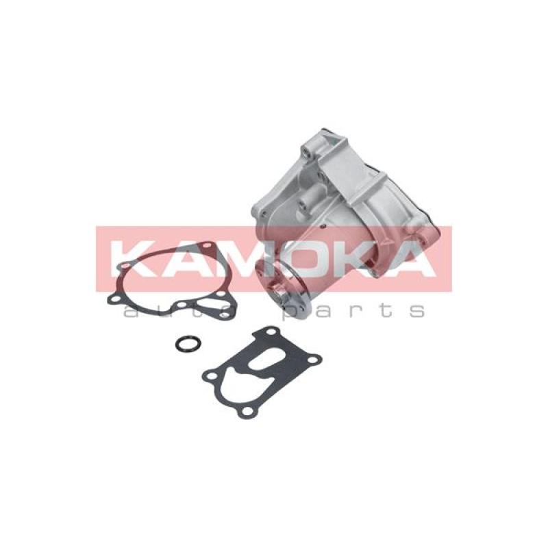 Pompe à eau KAMOKA T0161 - Visuel 1