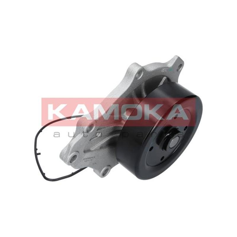 Pompe à eau KAMOKA T0176 - Visuel 2