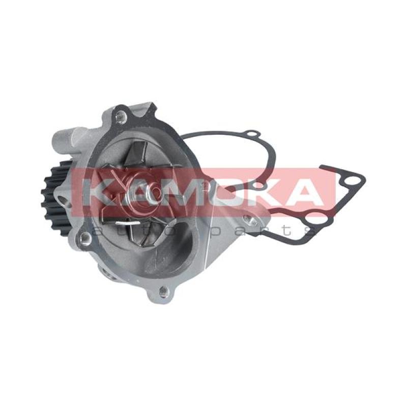 Pompe à eau KAMOKA T0179 - Visuel 2