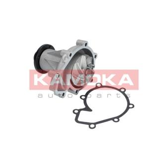 Pompe à eau KAMOKA T0185