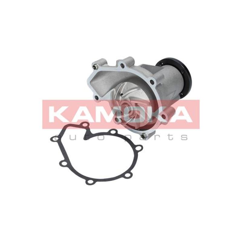 Pompe à eau KAMOKA T0185 - Visuel 1