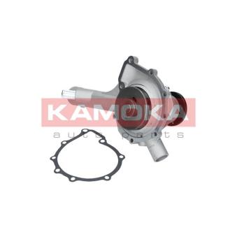 Pompe à eau KAMOKA T0186