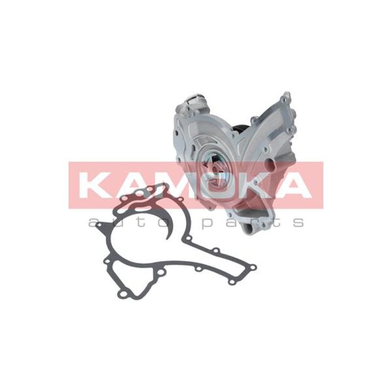 Pompe à eau KAMOKA T0192 - Visuel 1