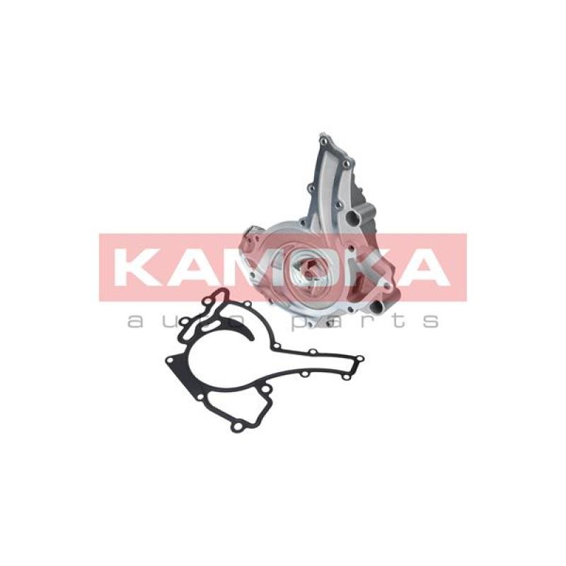 Pompe à eau KAMOKA T0195 - Visuel 1