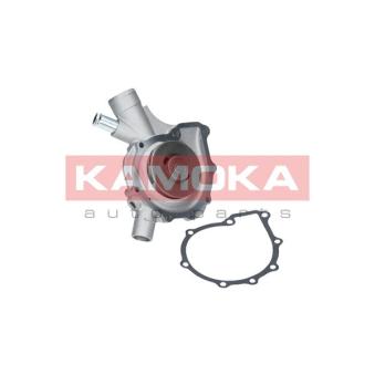 Pompe à eau KAMOKA OEM a1112002401