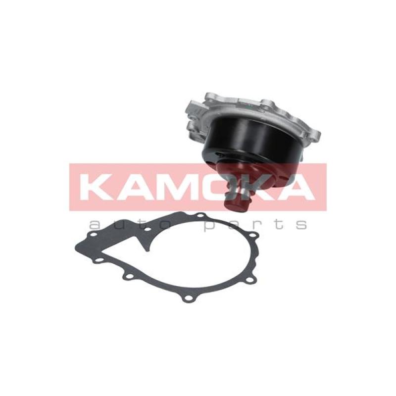 Pompe à eau KAMOKA T0200 - Visuel 1