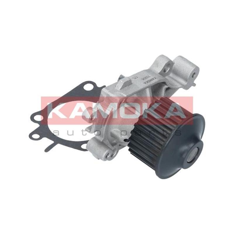 Pompe à eau KAMOKA T0206 - Visuel 1