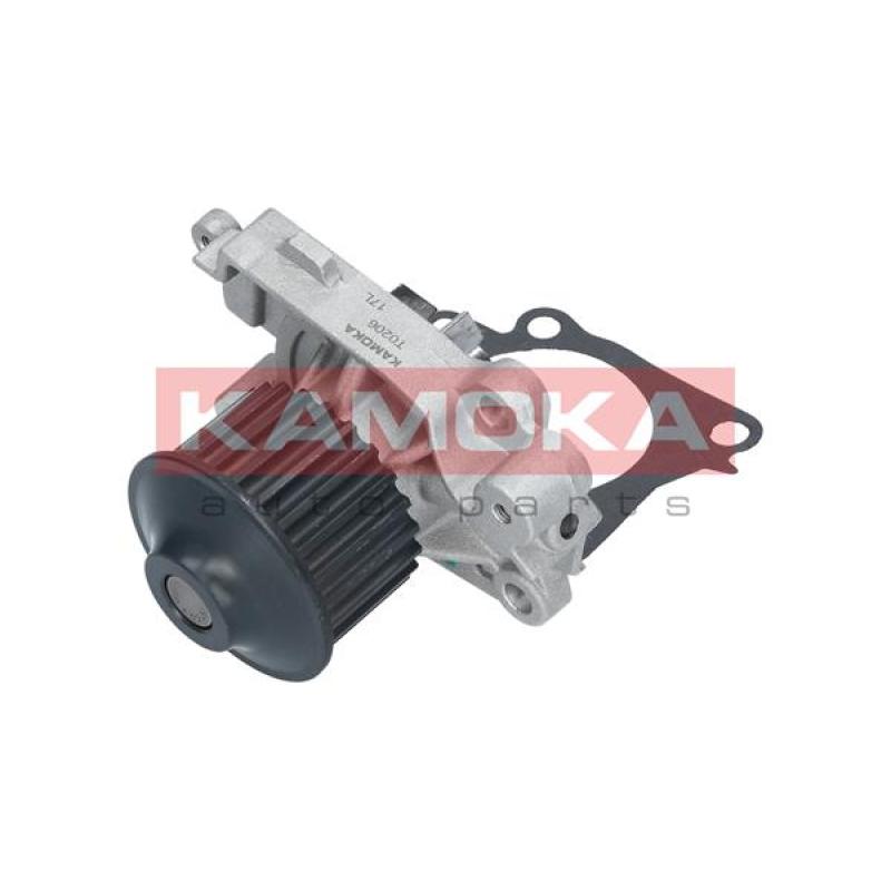 Pompe à eau KAMOKA T0206 - Visuel 2