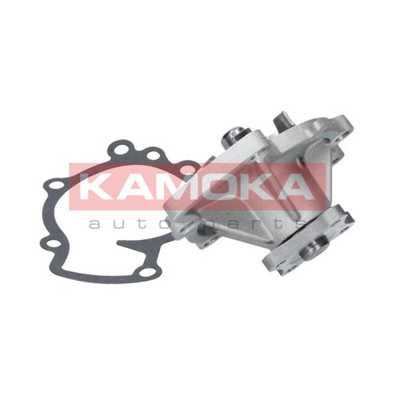 Pompe à eau KAMOKA T0211 - Visuel 2