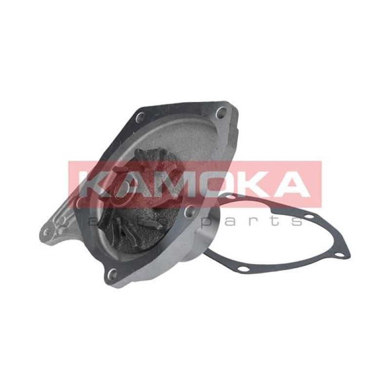 Pompe à eau KAMOKA T0214 - Visuel 2