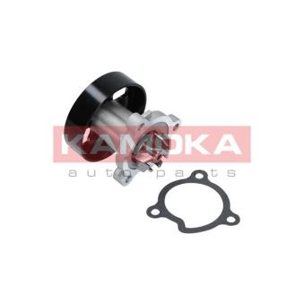 Pompe à eau KAMOKA T0221