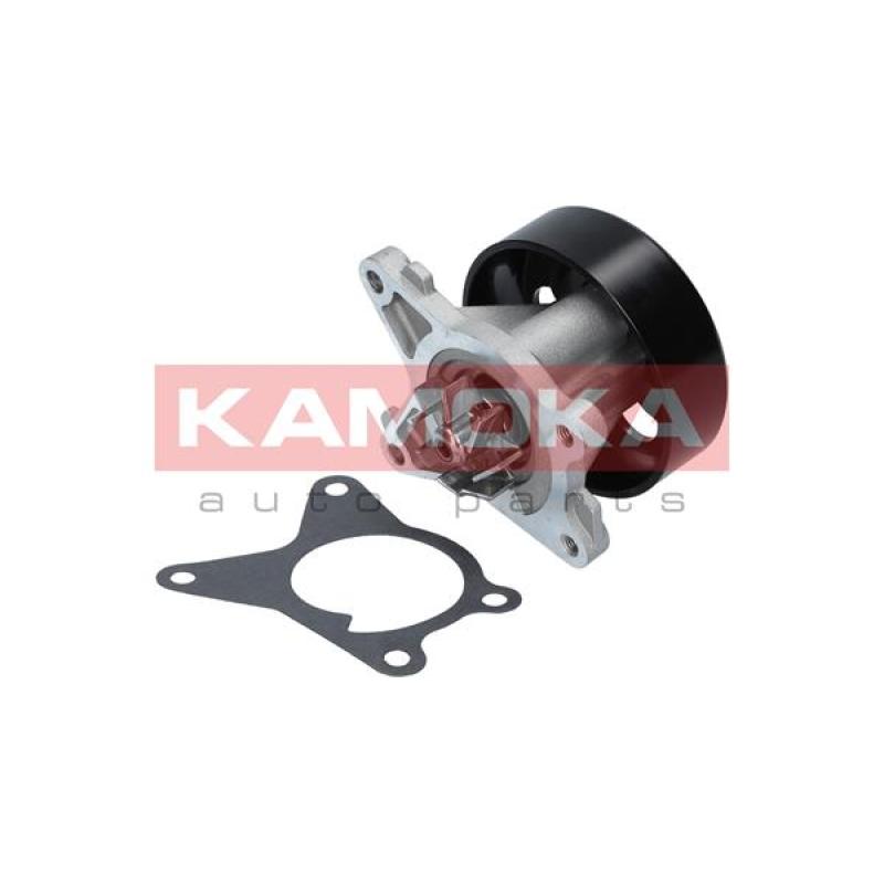 Pompe à eau KAMOKA T0223 - Visuel 1