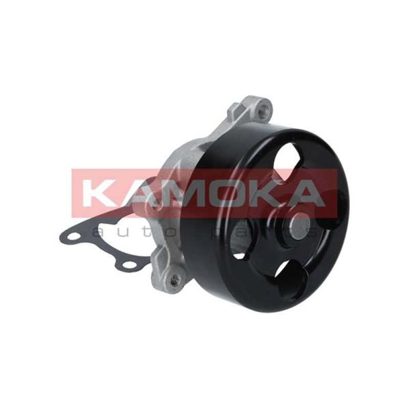 Pompe à eau KAMOKA T0223 - Visuel 2