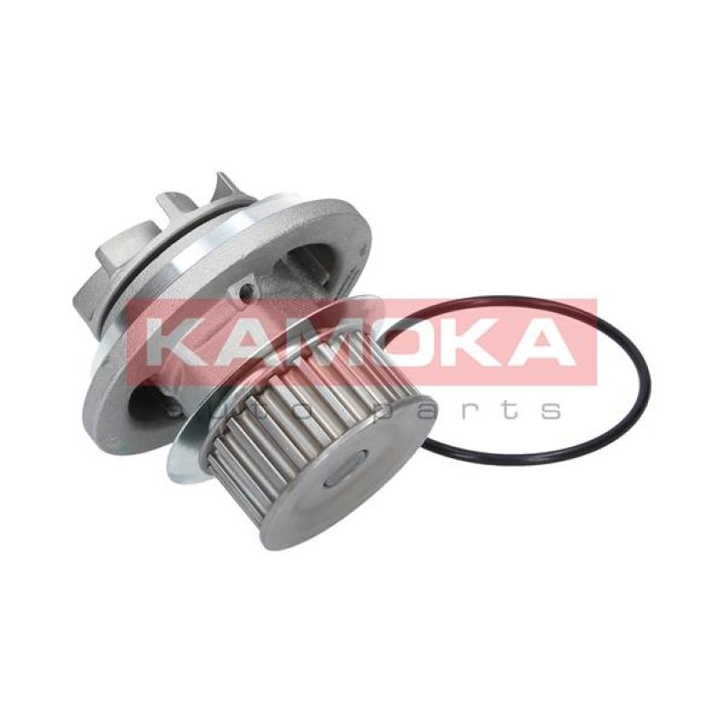 Pompe à eau KAMOKA T0228 - Visuel 1