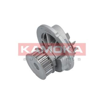 Pompe à eau KAMOKA T0231