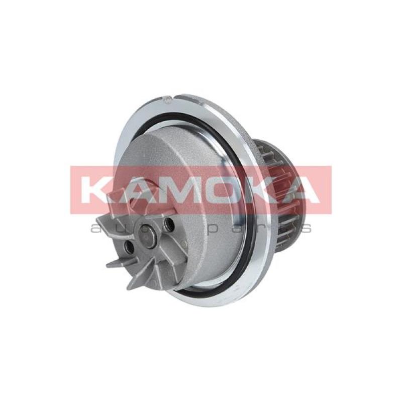 Pompe à eau KAMOKA T0231 - Visuel 2