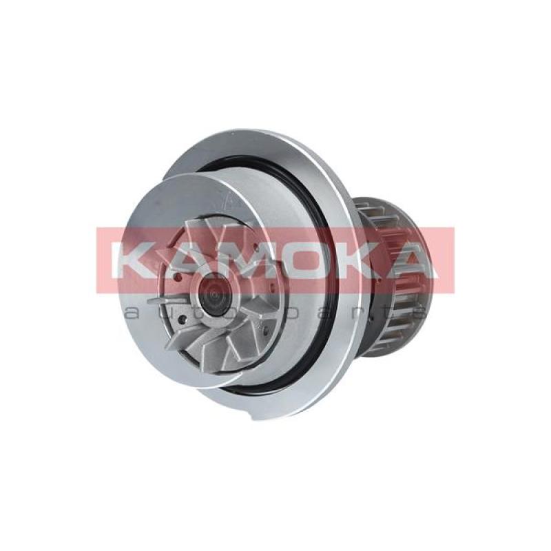 Pompe à eau KAMOKA T0232 - Visuel 1