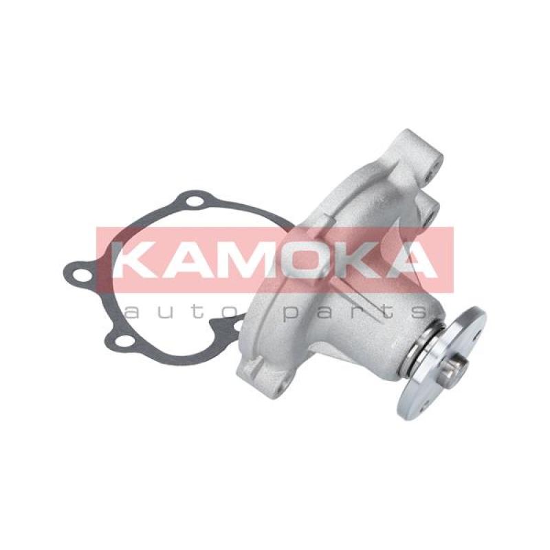 Pompe à eau KAMOKA T0233 - Visuel 2