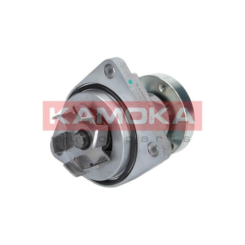 Pompe à eau KAMOKA T0237 - Visuel 1